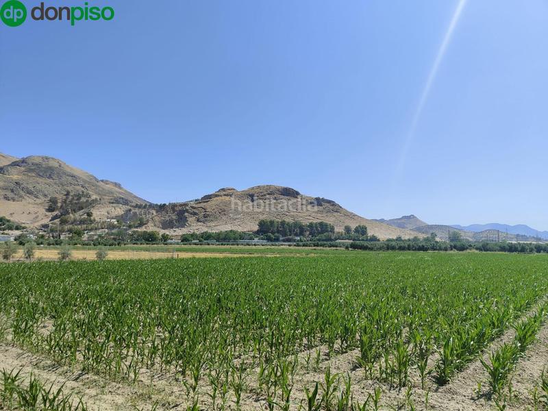 Foto 4f9ab0ce-92a8-47f4-855e-37c7f8d8c838. Landgut in carretera carretera de pinos puente in Atarfe