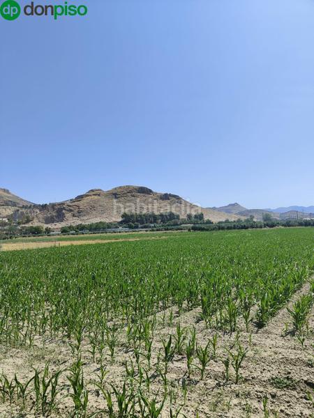 Foto 6319ba14-e884-4bb1-a485-0b66cf2bedce. Landgut in carretera carretera de pinos puente in Atarfe