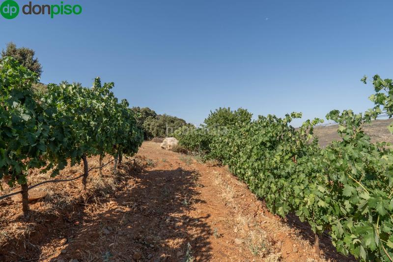 Foto 572589d4-f784-453c-803d-c6dadd482684. Finca rústica a calle los chaparros 91 a Dúdar