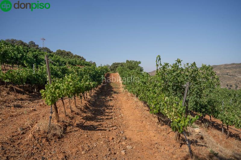 Foto d42b8aa7-925a-4126-bba5-21928b6dde7d. Finca rústica a calle los chaparros 91 a Dúdar