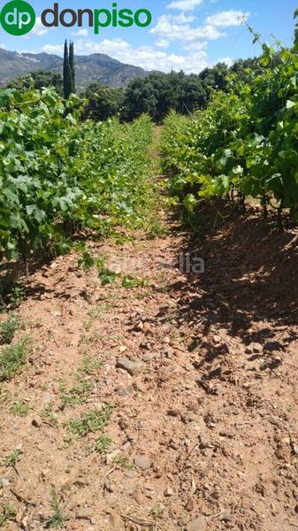 Foto e3c4b0d1-90c8-443e-9da5-66258b42fea0. Finca rústica a calle los chaparros 91 a Dúdar