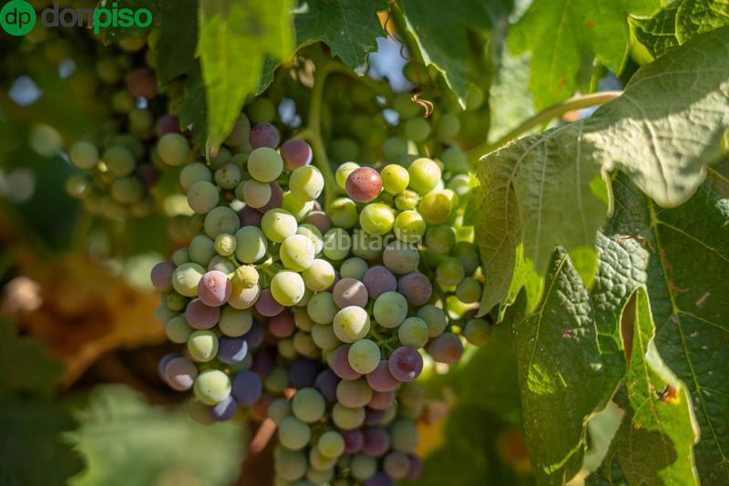 Foto e8fa8853-3763-4301-b201-1d599caa8123. Finca rústica a calle los chaparros 91 a Dúdar