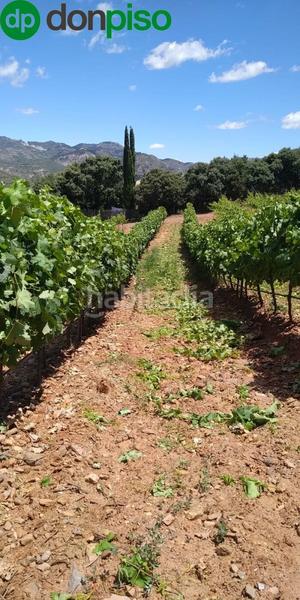 Foto fc8c5ddf-38f9-4789-9771-bddc054b7de0. Finca rústica a calle los chaparros 91 a Dúdar
