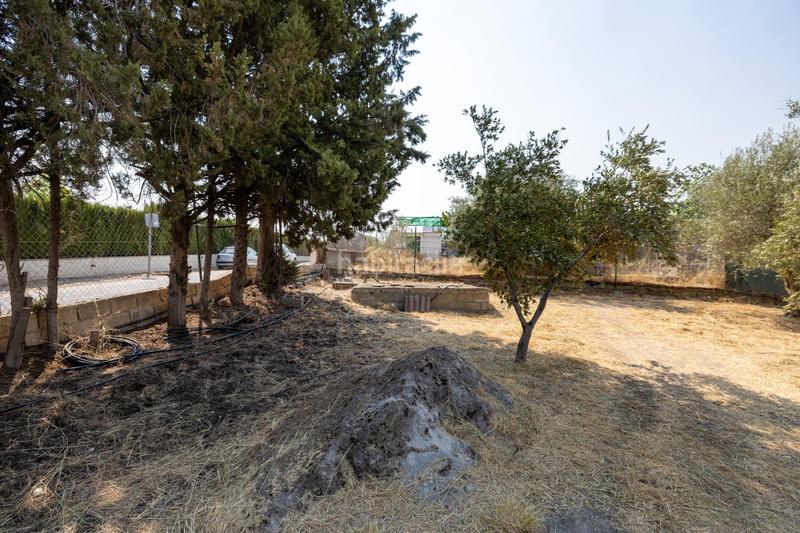 Foto 241e5ec1-6fa5-495e-8380-efb2c62871a3. Masía encanto rústico con casita y olivos en moraleja de zafayona en Moraleda de Zafayona