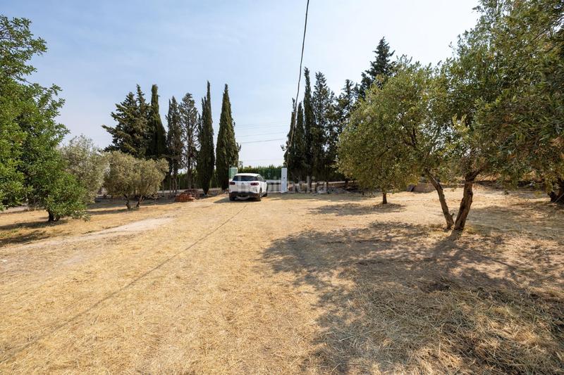 Foto 33200954-b19b-4a49-991d-54a675a0e375. Masía encanto rústico con casita y olivos en moraleja de zafayona en Moraleda de Zafayona