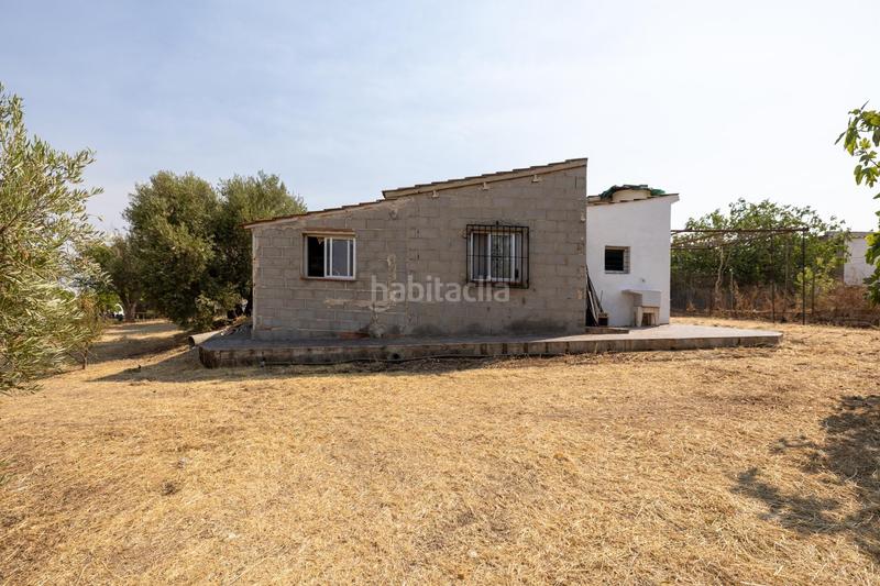 Foto 407d1999-37ae-4c46-89d4-c3f38aa8381c. Masía encanto rústico con casita y olivos en moraleja de zafayona en Moraleda de Zafayona
