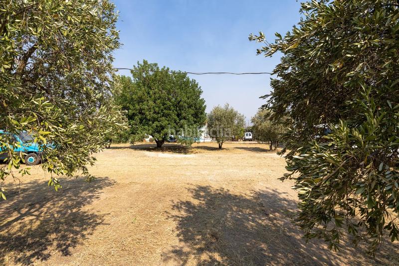 Foto 6dbb4eb9-aa2d-4694-949a-d0df1b720094. Masía encanto rústico con casita y olivos en moraleja de zafayona en Moraleda de Zafayona