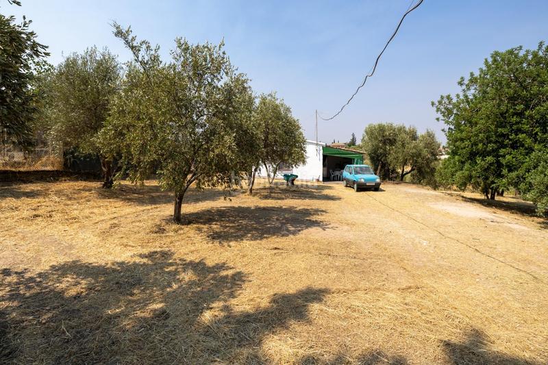 Foto 73c752de-a43c-4c2b-a1cb-2ab48bd3281a. Masía encanto rústico con casita y olivos en moraleja de zafayona en Moraleda de Zafayona