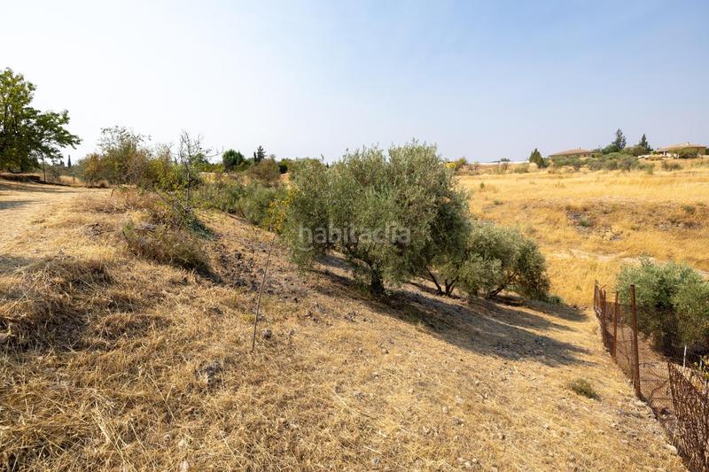 Foto 764ea75e-5843-4215-831a-5c2234cbf9f3. Masía encanto rústico con casita y olivos en moraleja de zafayona en Moraleda de Zafayona