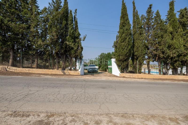 Foto 7f731cdd-0c52-4c74-bd08-061b8a4edf41. Masía encanto rústico con casita y olivos en moraleja de zafayona en Moraleda de Zafayona