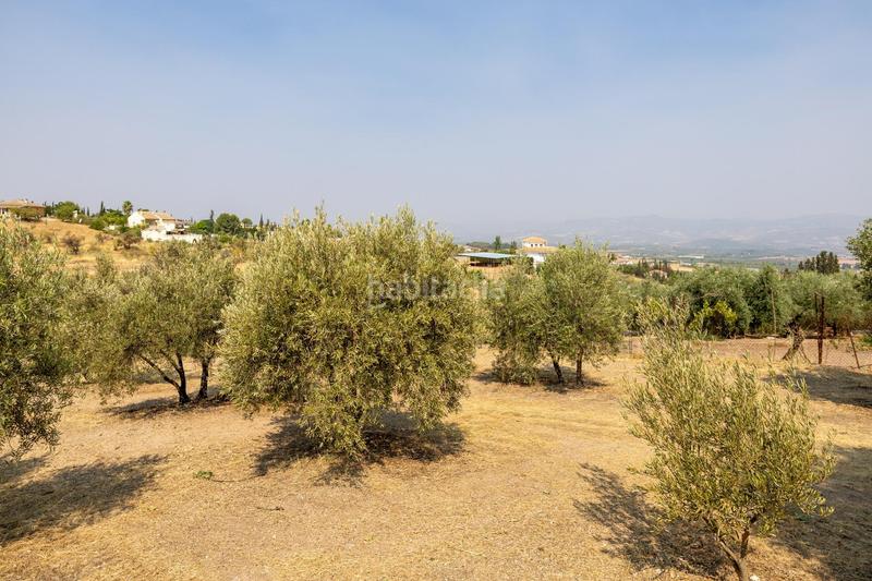 Foto c240682f-fa49-4ff3-83a4-5867fa1f1c1e. Masía encanto rústico con casita y olivos en moraleja de zafayona en Moraleda de Zafayona