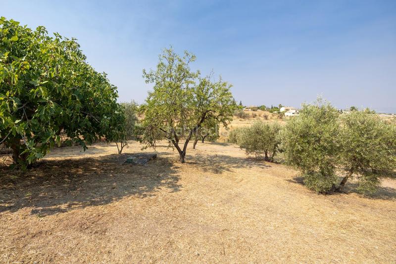 Foto cba34a63-da71-4322-b8a7-7e824b3c7402. Masía encanto rústico con casita y olivos en moraleja de zafayona en Moraleda de Zafayona