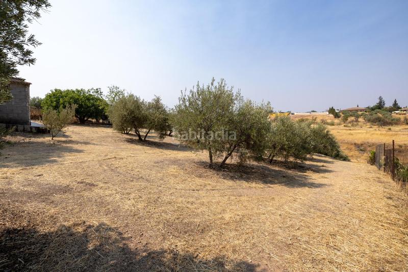 Foto ebe0c88e-487f-4f0c-a1ca-a4b294b0fa5c. Masía encanto rústico con casita y olivos en moraleja de zafayona en Moraleda de Zafayona
