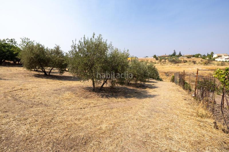 Foto f781de97-7fe5-4553-98e3-17a3e243af2f. Masía encanto rústico con casita y olivos en moraleja de zafayona en Moraleda de Zafayona