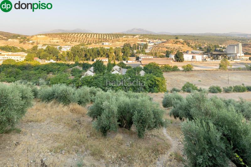 Foto 0d3a7918-b523-4586-865a-3d58520b1020. Terreno residencial oportunidad única granada en Iznalloz