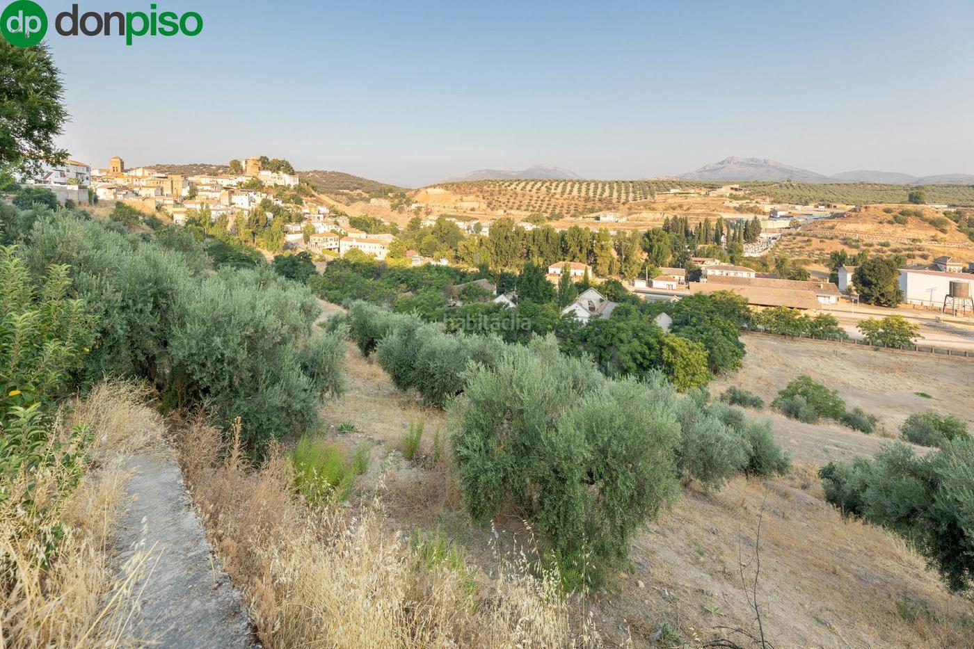 OPORTUNIDAD NICA EN IZNALLOZ GRANADA Iznalloz