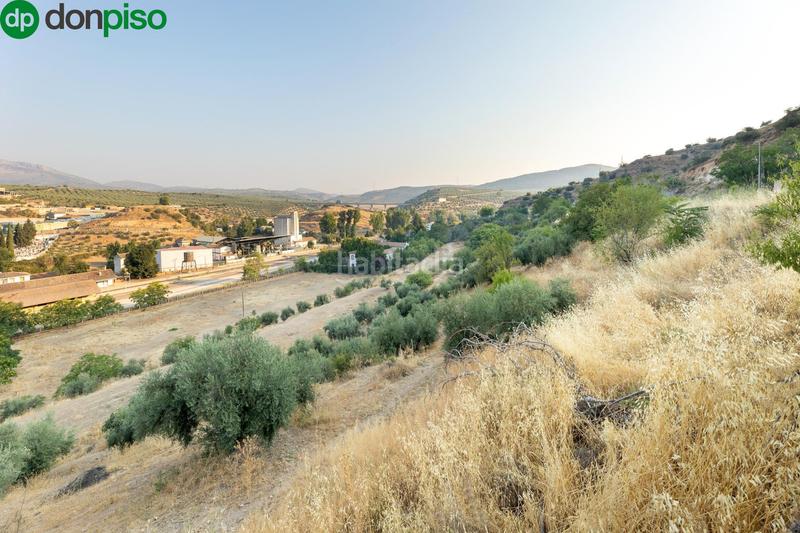 Foto 89ca8c2c-7864-44ff-87d5-4de96d47e5fa. Terreno residencial oportunidad única granada en Iznalloz