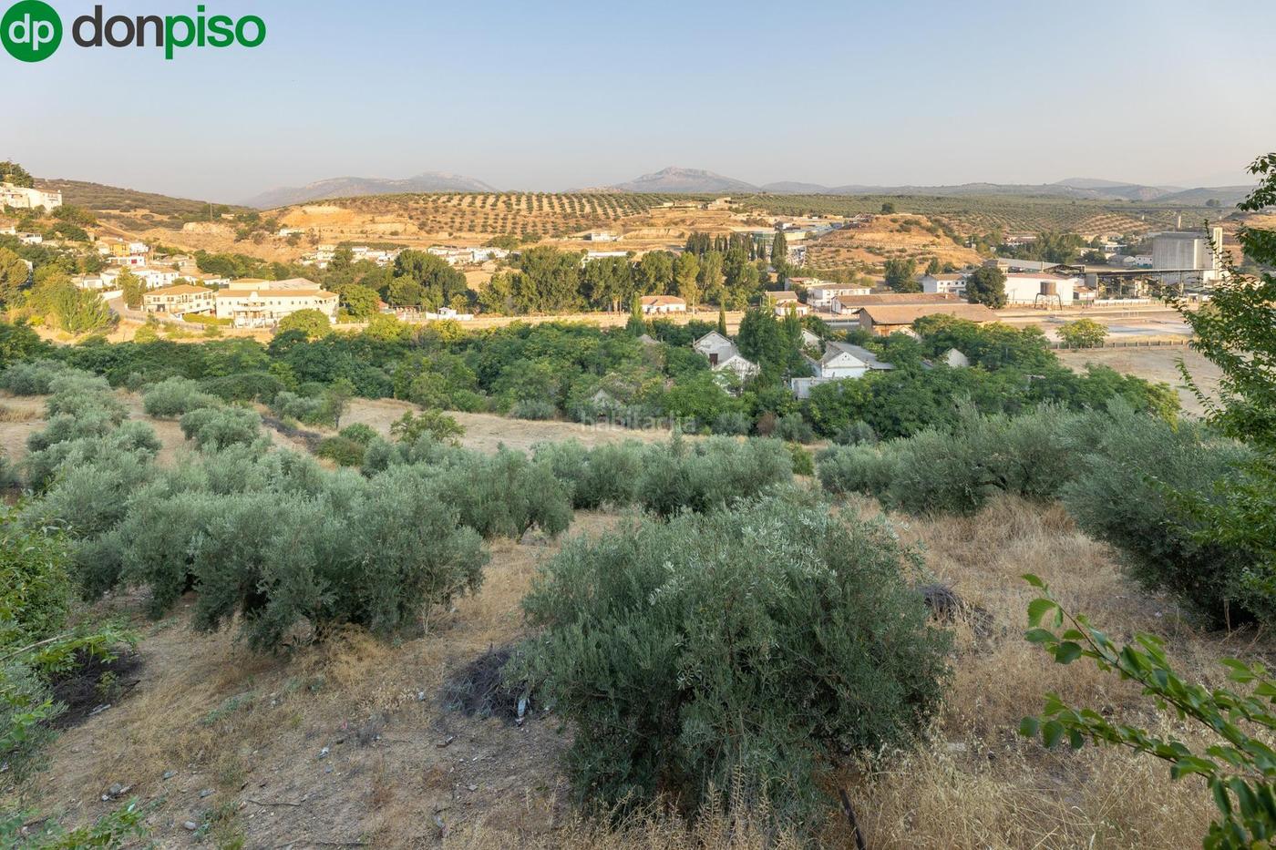 OPORTUNIDAD NICA EN IZNALLOZ GRANADA Iznalloz