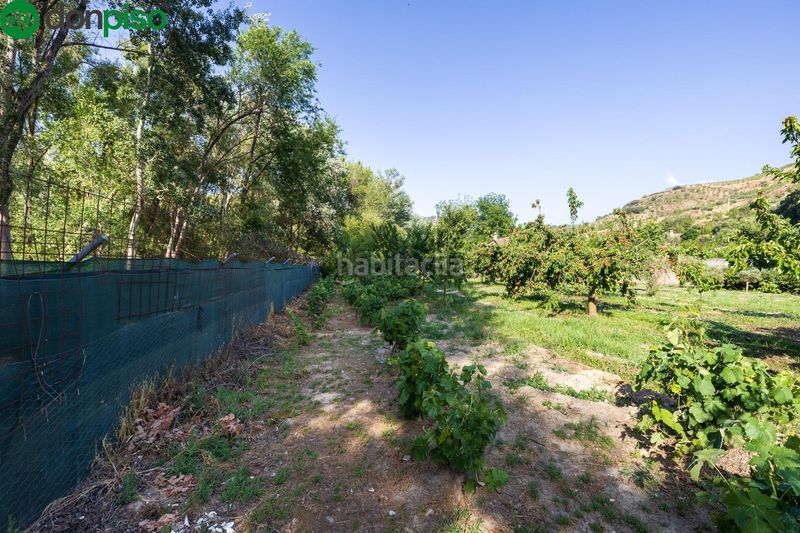 Foto 42b62693-41d4-48be-9d25-73386f11d4bd. Landgut in paseo paseo duquesa s/n in Pinos Genil