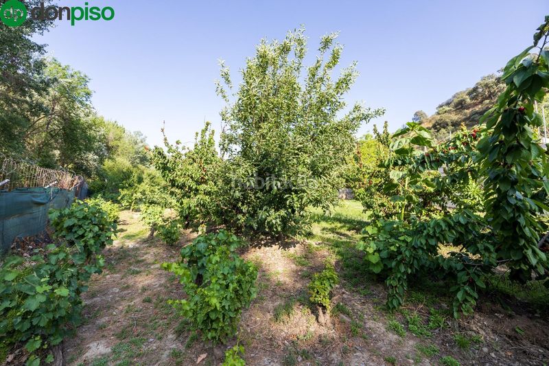 Foto 4323e0e0-b748-4114-a2d7-cc93081dd232. Landgut in paseo paseo duquesa s/n in Pinos Genil