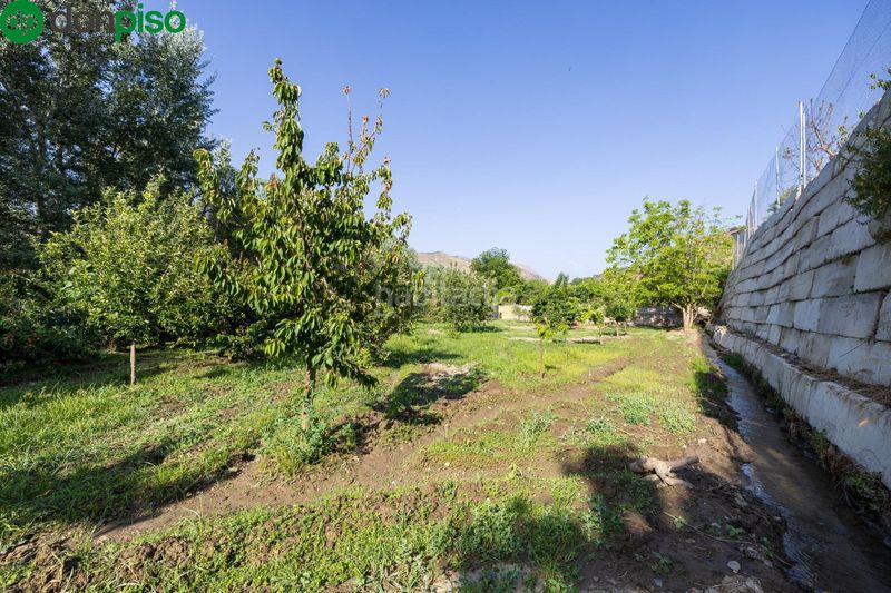 Foto c0e8b9be-c041-491e-886e-3d35b4593c07. Landgut in paseo paseo duquesa s/n in Pinos Genil