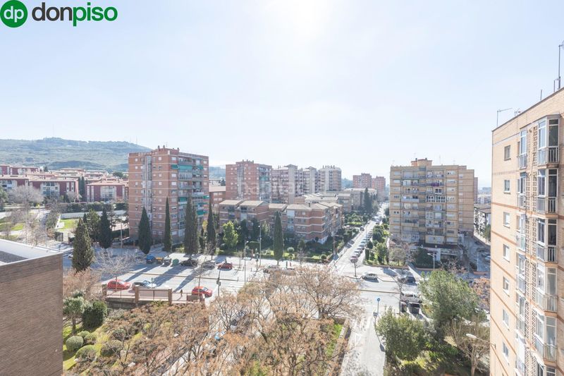 Foto 09cec88d-6d85-4474-8a62-cbcbde8e8b03. Pis a Cartuja Granada