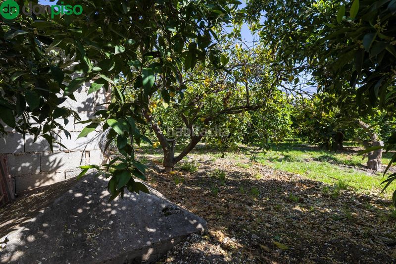 Foto 041b95a0-3359-46fa-98fa-f7fdc32d2e5d. Finca rústica a Lecrín