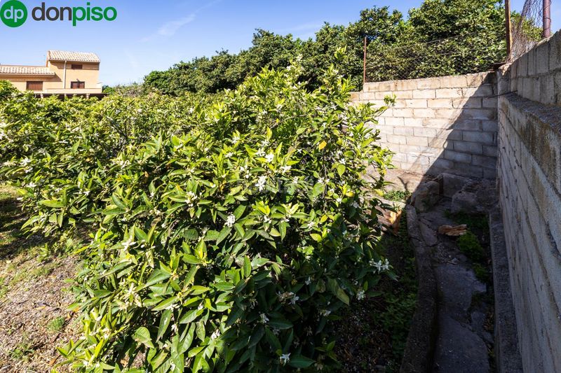 Foto 0ffe217a-52fc-4f8e-9341-ce13e7d8c733. Finca rústica a Lecrín