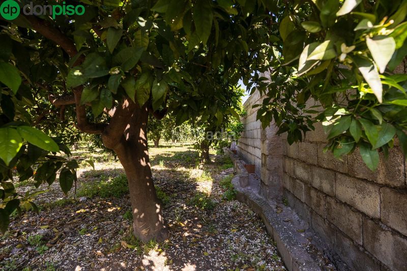 Foto 3ce0523b-11f6-4cb4-b89e-6f7586e1c42a. Finca rústica a Lecrín