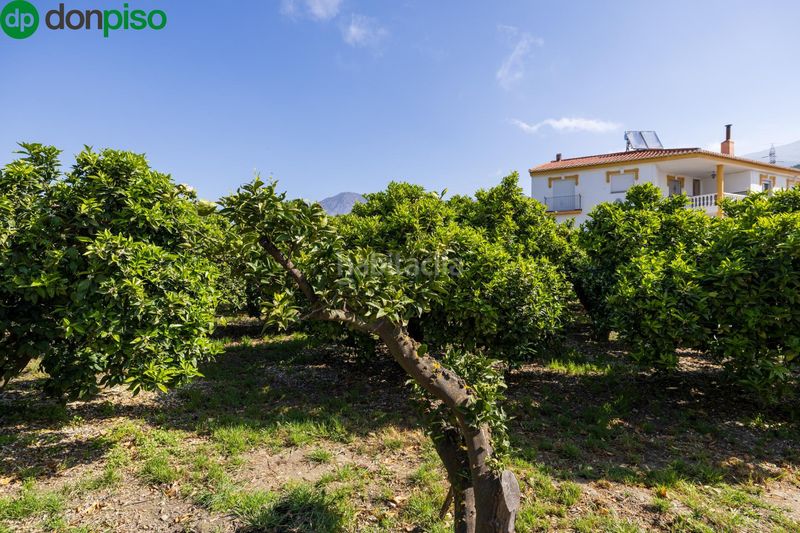 Foto 5e05e5b2-e936-4f2a-b016-05ff72427d7d. Finca rústica a Lecrín
