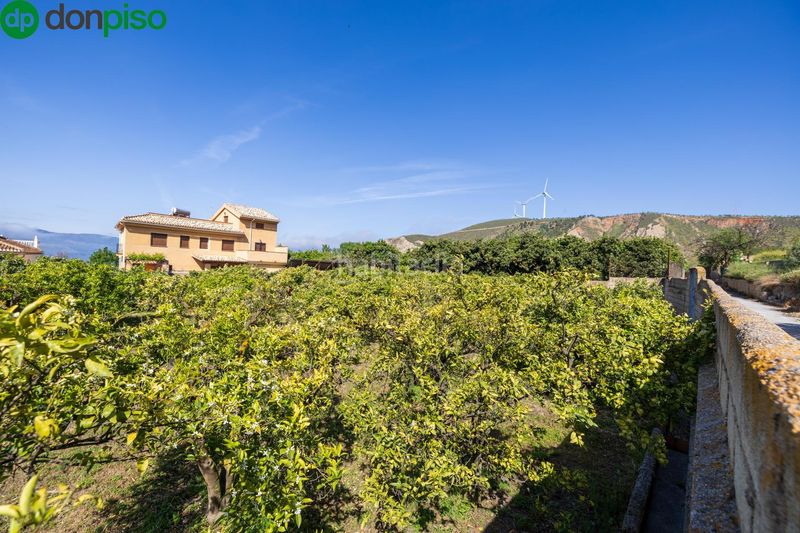 Foto b78acdeb-1798-4564-a128-ba4354a81cd1. Finca rústica a Lecrín
