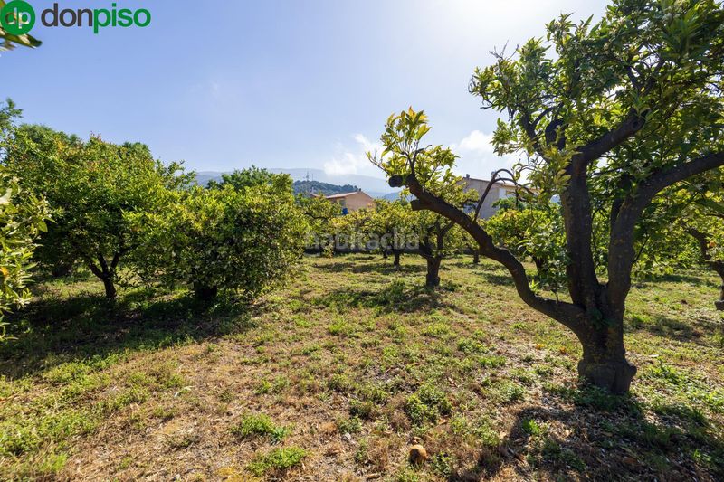 Foto d6abe8e1-505e-42ba-8eed-4852e6dea5fa. Finca rústica a Lecrín