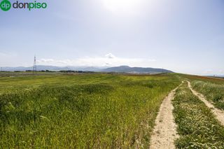 Finca rústica  Otura 6. Parcela rústica de secano. otura