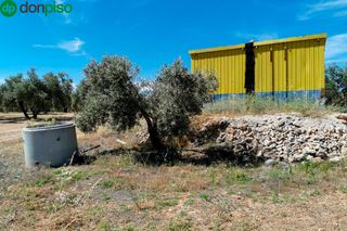 Fondo rustico in Llano salviar polígono: 13, parcela: 209 y 277. Finca de olivos