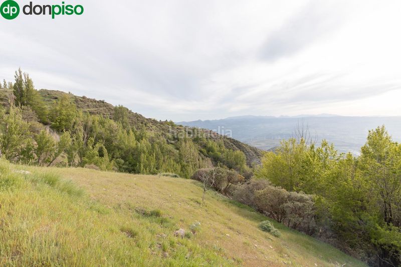 Foto b6629f75-5e76-4edf-afbb-f98b003c25e8. Masia a Nigüelas