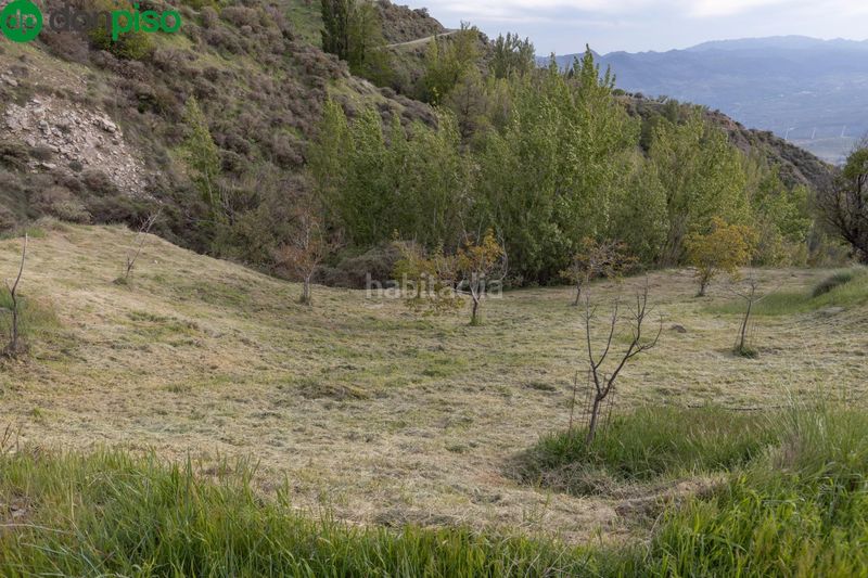 Foto f66ae055-d70c-4497-9235-01bd6ec899ac. Masia a Nigüelas