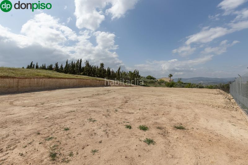 Foto 0a6bbbb8-5b07-482a-81e4-12a99ae5f5a1. Finca rústica a riegos de moraleda a Moraleda de Zafayona