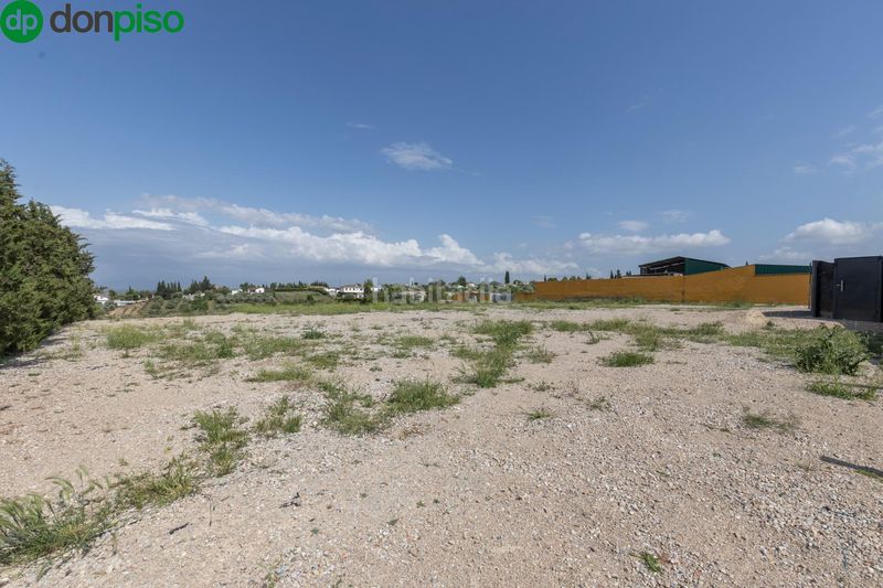 Foto 36366733-aa73-4f08-afd6-04f3c9b9c1d2. Finca rústica a riegos de moraleda a Moraleda de Zafayona