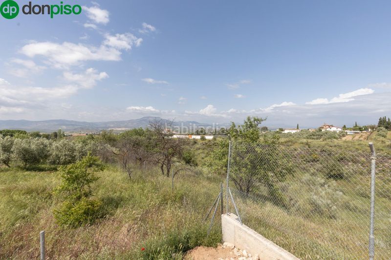 Foto 429686a0-92a2-4af4-bba9-70b28e7a03da. Finca rústica a riegos de moraleda a Moraleda de Zafayona