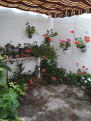 Maison  Calle menéndez pelayo