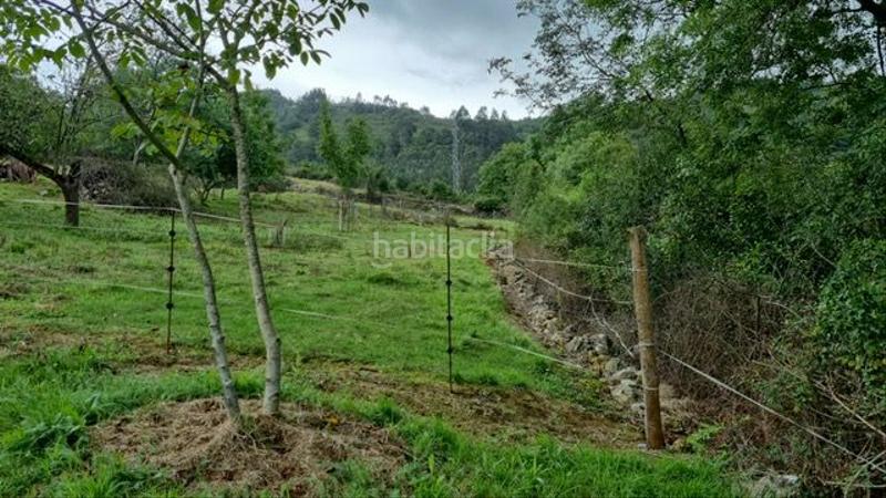 Foto 358da97a-b816-4790-bf6a-c2ee72602772. Terreno residencial en lugar rañeces 14a en Regueras (Las)