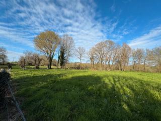 Residential Plot in Lugar castro 3014a