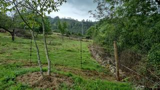 Terreno residenziale in Lugar Rañeces 36A