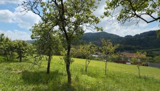 Finca rústica a As-236 8