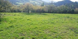 Wohngrundstück in AS-234 5