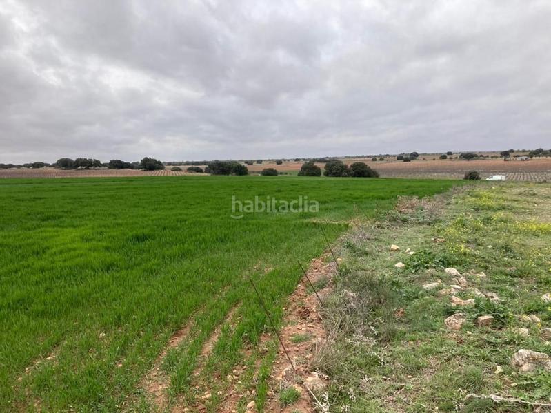 Foto b2b39b01-7449-498b-a76f-ae3b4e2ef15d. Finca rústica venta de finca rústica en finca hidalga, . 979.214 m² en Campo de Criptana