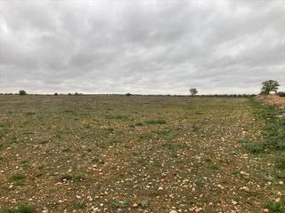 Terreny residencial a Avenida hispanidad 7. Venta de 8 fincas rústicas en calle finca hidalga 1 nº 0 campo d