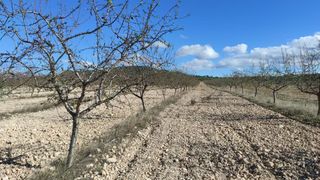 Masia a Pedanías - Extrarradio. Finca rúst. en venta en albacete, 2 dormitorios.