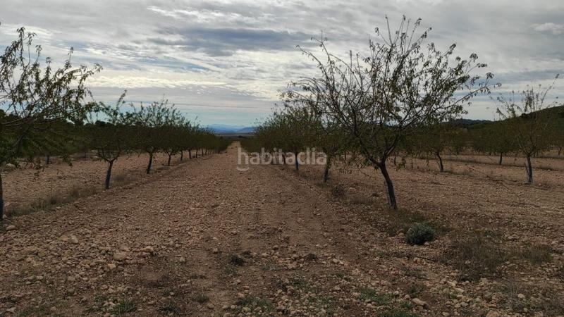 Foto 65746393-750d-4b85-b766-aa1eae82aa15. Mas dans Pedanías - Extrarradio Albacete