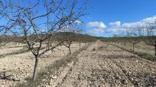 Masia a Pedanías - Extrarradio. Finca rúst. en venta en tobarra, 2 dormitorios.